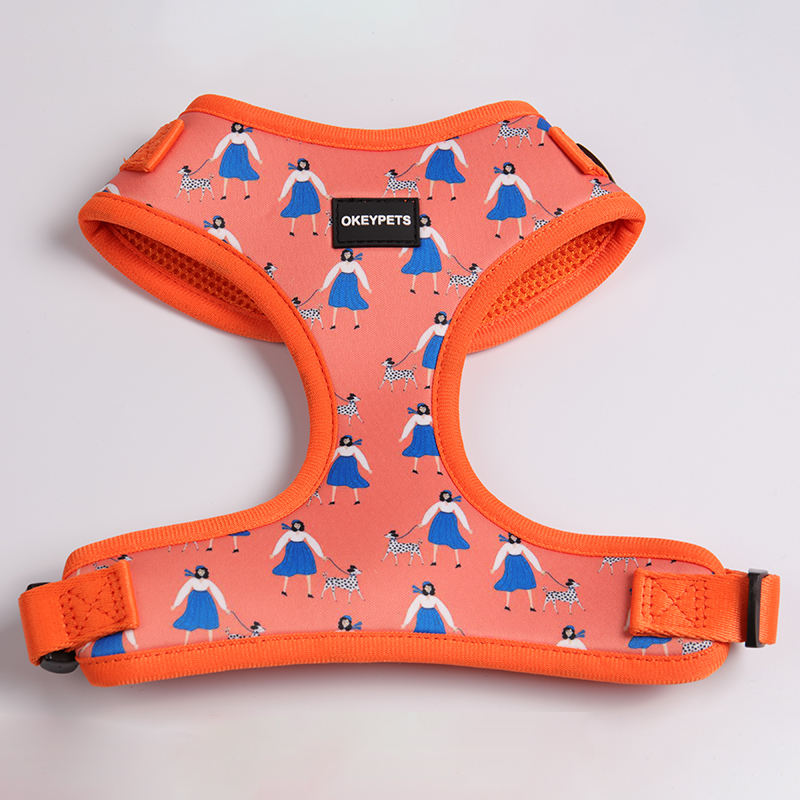 High Quality Polyester Printed Colorful Custom Comfortable Cat Dog Harness And Leash For Pets