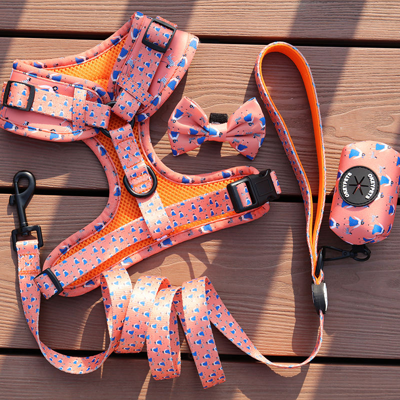 Pet Supplies Custom Logo Multi Pattern Dog Har Vest Outdoors Walking Padded Mesh Pet Dog Harness