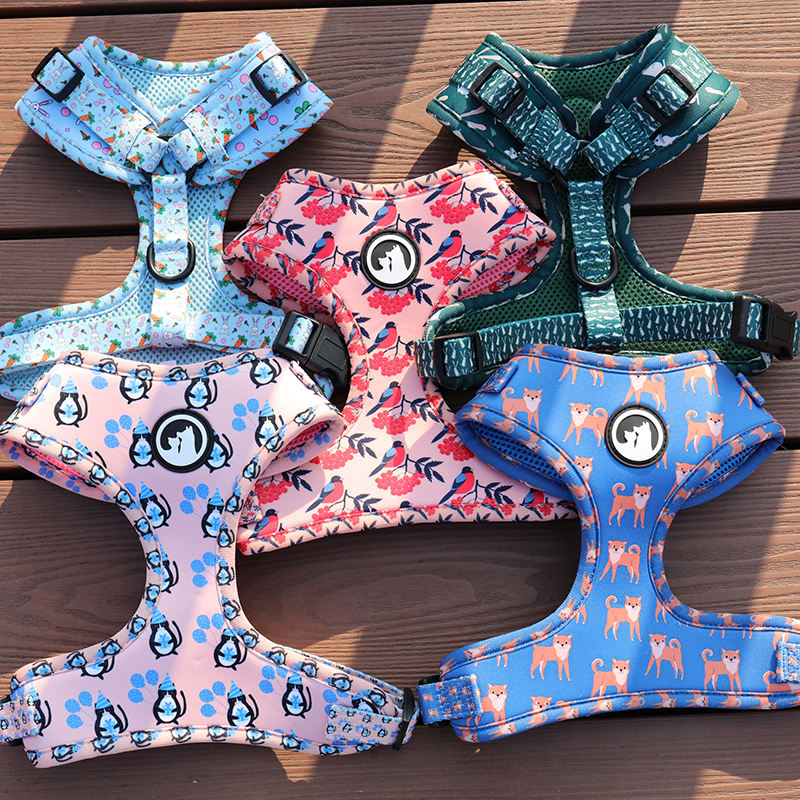 Pet Supplies Custom Logo Multi Pattern Dog Har Vest Outdoors Walking Padded Mesh Pet Dog Harness