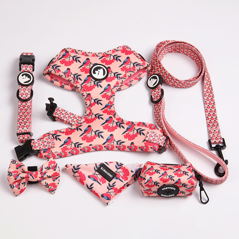 Pet Accessories Oem/odm Luxury Print Colourful Polyester Neoprene Soft Padded Sublimation Dog Harness Set