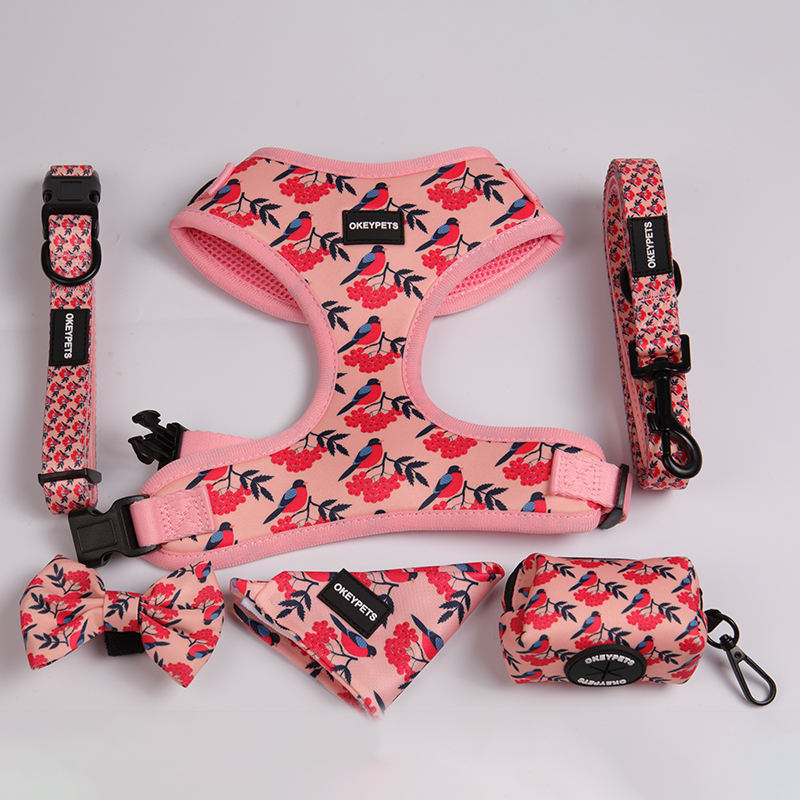 Hot Selling Of Luxury Dog Harness And Pet Collars Leashes Set Manufacture Wholesale Fashion Bow Ties And Poop-bag