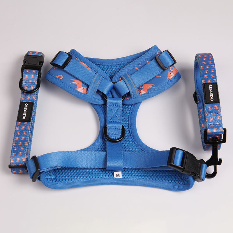 Reversible Quick Release Dog Leash Vest Padded Pattern Printed Cute Polyester Adjustable Pet Safety Belt Harness