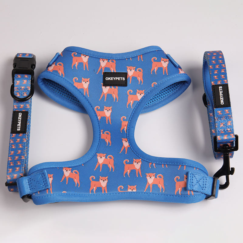 Reversible Quick Release Dog Leash Vest Padded Pattern Printed Cute Polyester Adjustable Pet Safety Belt Harness