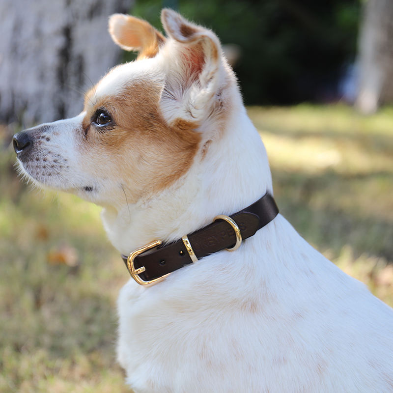 Adjustable Simple Style Stylish Oem Comfortable Personalize Pu Genuine Dog Leather Collar