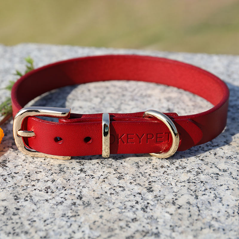 Fashion Personalized Design Best Leather Medium Pet Puppy Dog Safety Neck Collar With Custom Embossed Logo