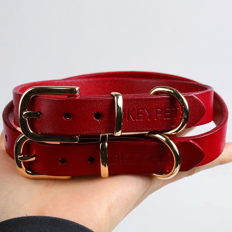 Embossed Logo Stylish Pet Chains Leather Design Colorful Pet Dog Leather Collar