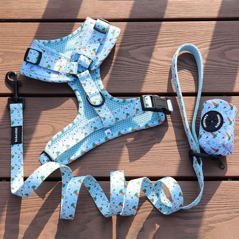 Designers Pet Vest Personalized Harness Set Adjustable Custom Bow No Pull Dog Harness Set