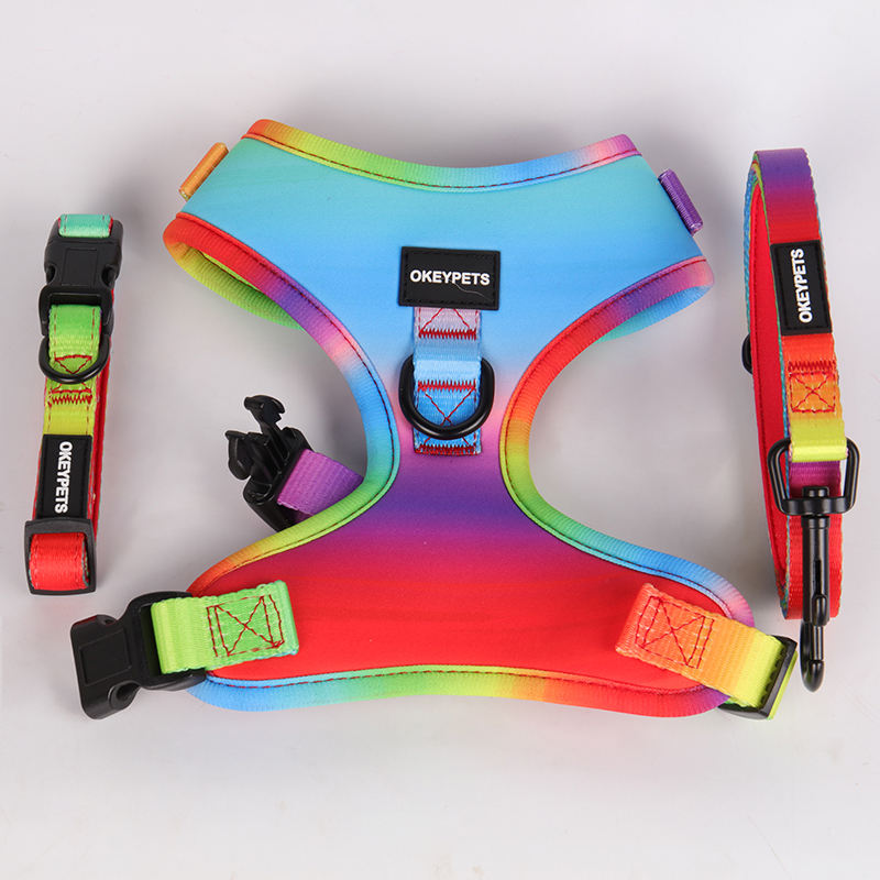 Rainbow Pattern Custom Logo Neoprene Padded Puppy Small Dog Harness Leash Collar Set