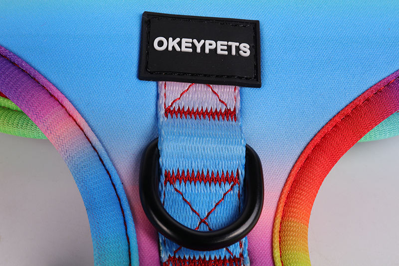 Rainbow Pattern Custom Logo Neoprene Padded Puppy Small Dog Harness Leash Collar Set