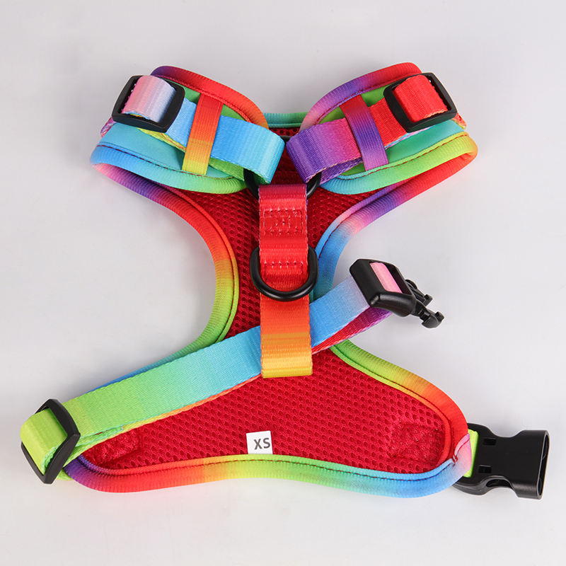 Rainbow Pattern Custom Logo Neoprene Padded Puppy Small Dog Harness Leash Collar Set