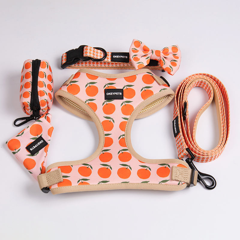 Custom Pattern Luxury Printed Mesh Reversible Collar Leash Bandana Dog Harness Set