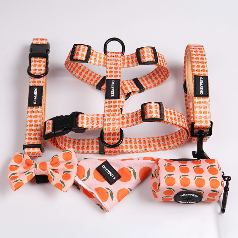 Custom Pattern Luxury Printed Mesh Reversible Collar Leash Bandana Dog Harness Set