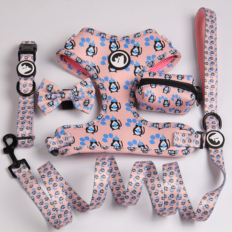 Custom Pattern Luxury Printed Mesh Reversible Collar Leash Bandana Dog Harness Set