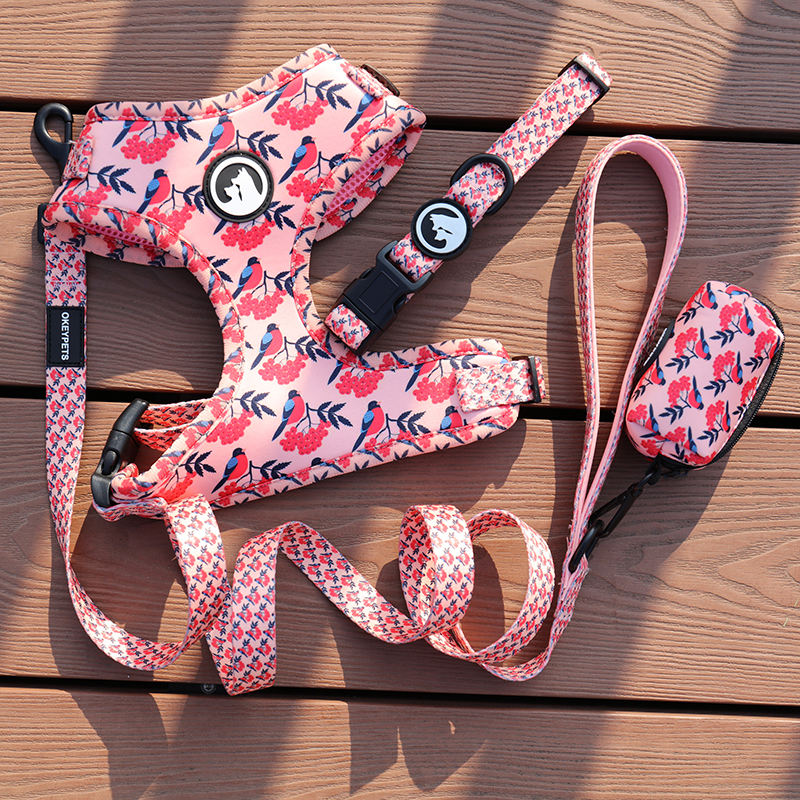 Custom Luxury Personalized Pattern Reversible Breathable Pet Dog Harness Set