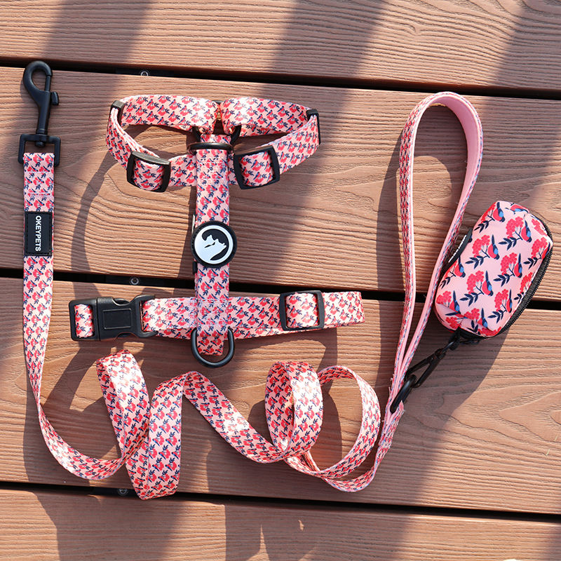 Custom Luxury Personalized Pattern Reversible Breathable Pet Dog Harness Set