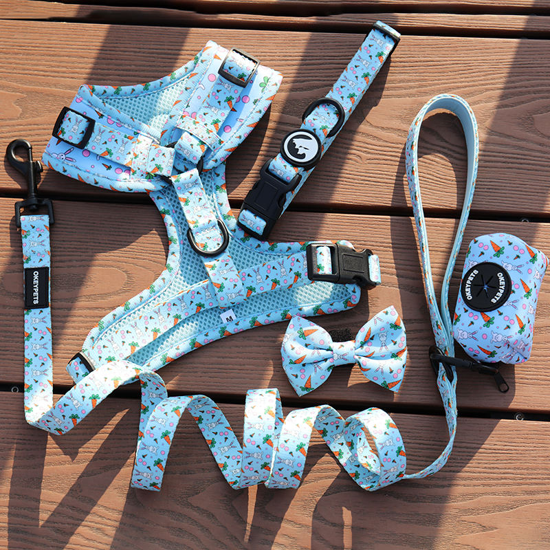 Custom Luxury Personalized Pattern Reversible Breathable Pet Dog Harness Set