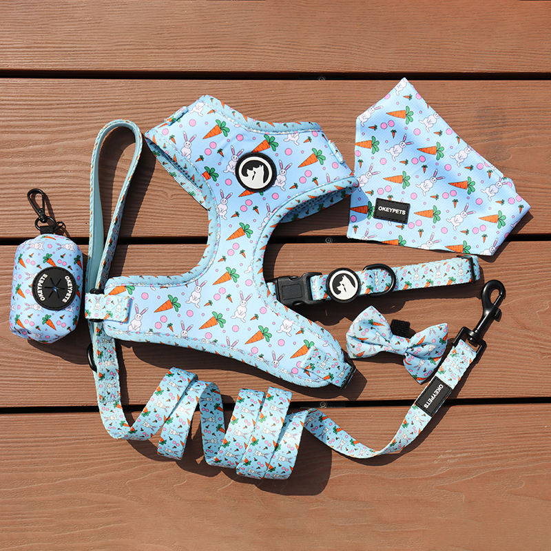 Custom Luxury Personalized Pattern Reversible Breathable Pet Dog Harness Set