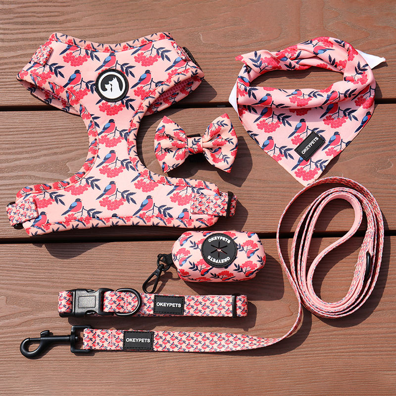 Custom Luxury Personalized Pattern Reversible Breathable Pet Dog Harness Set