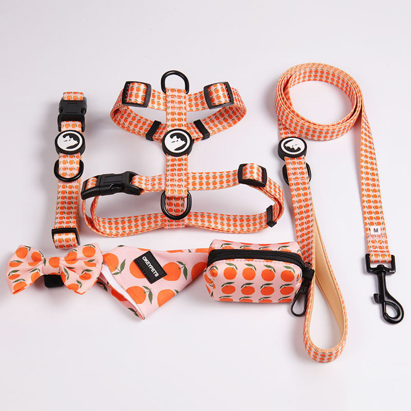 Luxury Custom Lightweight & Comfortable Polyester No-pull Durable Dog Harness Leash Collar Set