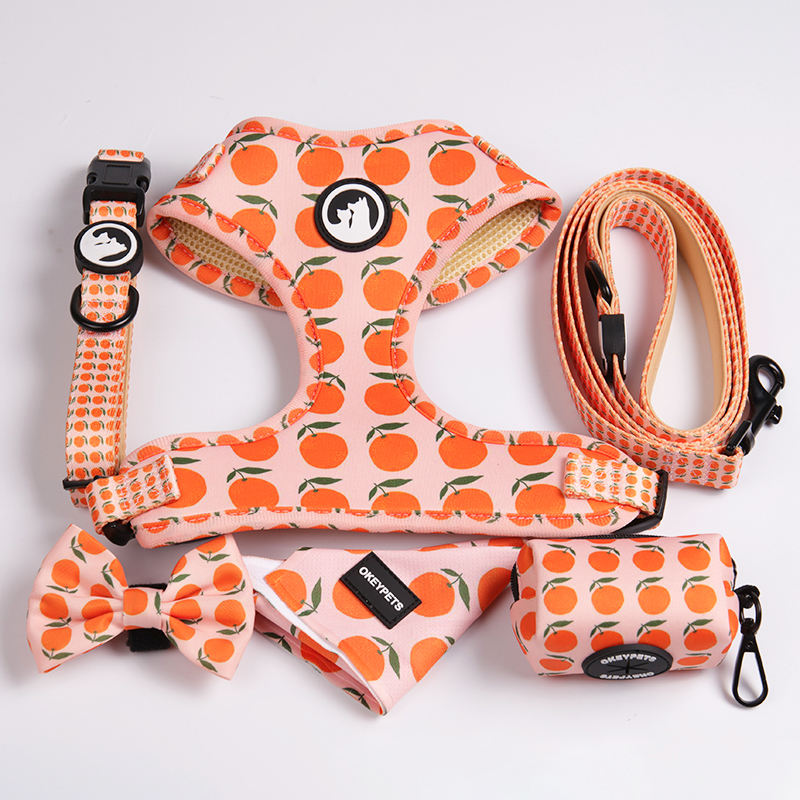 New Arrival Designer Adjustable Heavy Duty Dog Walking Safety Soft Fancy Printing Dog Harness Set