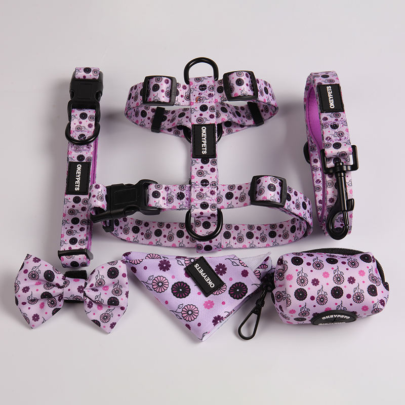 New Arrival Designer Adjustable Heavy Duty Dog Walking Safety Soft Fancy Printing Dog Harness Set