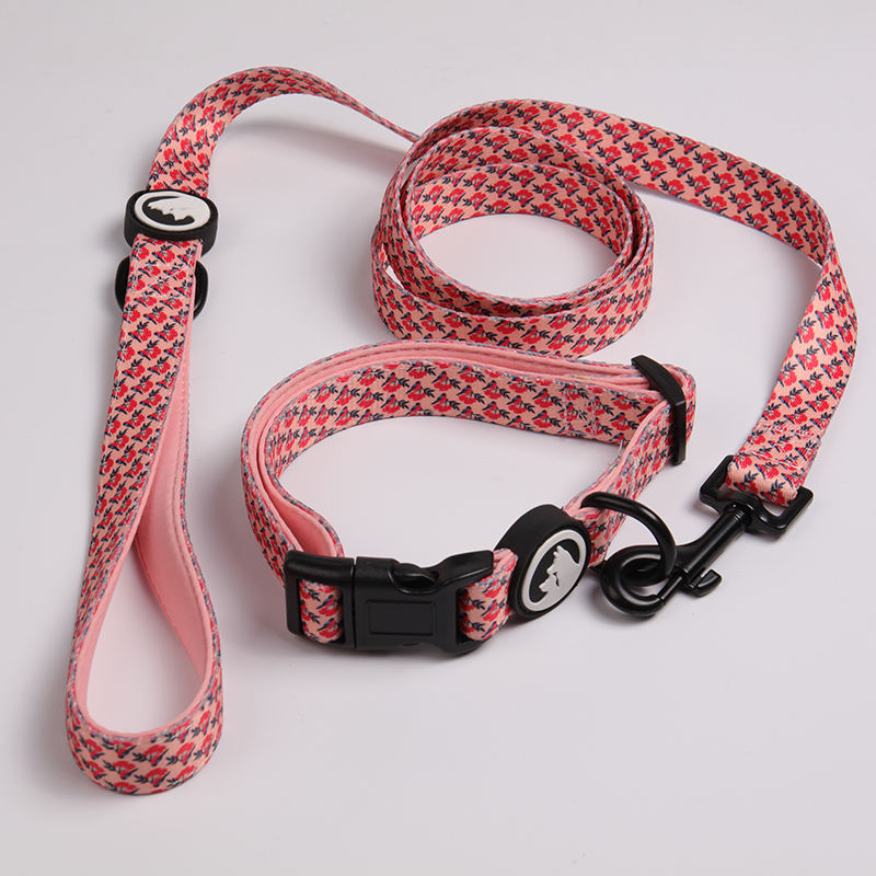 Hot Sale Soft Neoprene Padded Heat Transfer Printing Customized Adjustable Buckle Pet Dog Collar