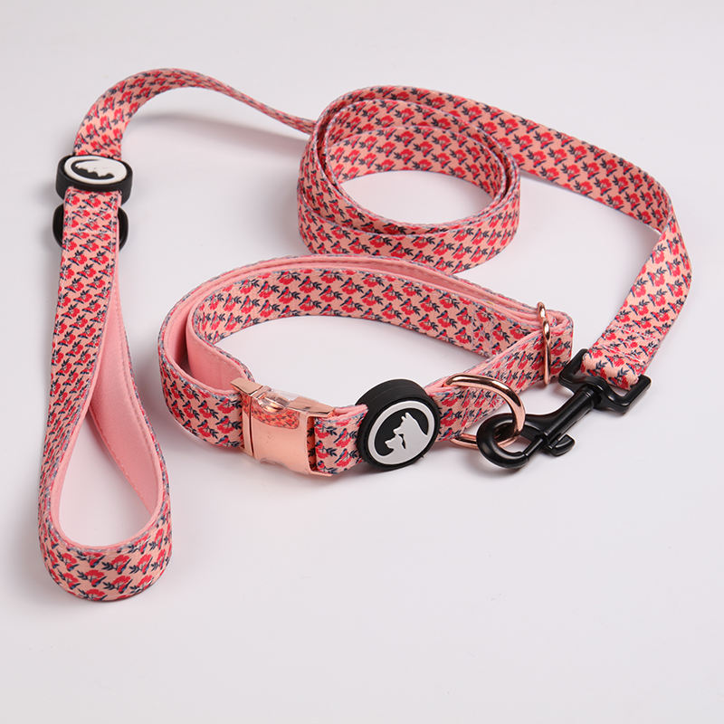 Hot Sale Soft Neoprene Padded Heat Transfer Printing Customized Adjustable Buckle Pet Dog Collar