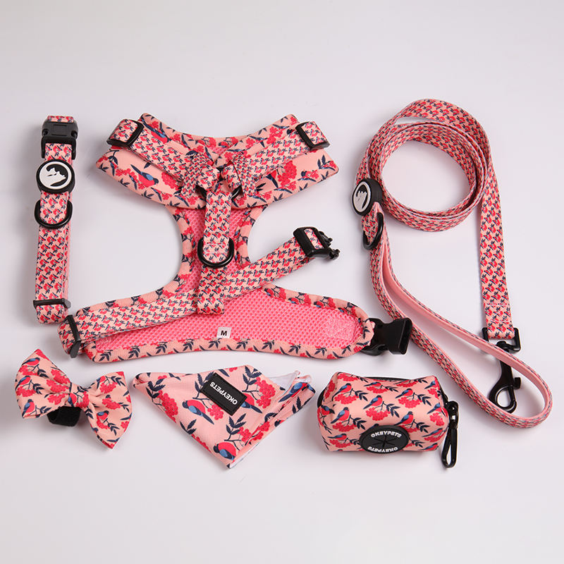 Hot Sale Soft Neoprene Padded Heat Transfer Printing Customized Adjustable Buckle Pet Dog Collar