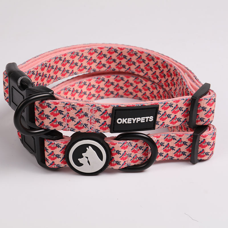 Fashion Multi Design Pet Dog Adjustable Name Collar Custom Size Neoprene Padded Holiday Dog Collar