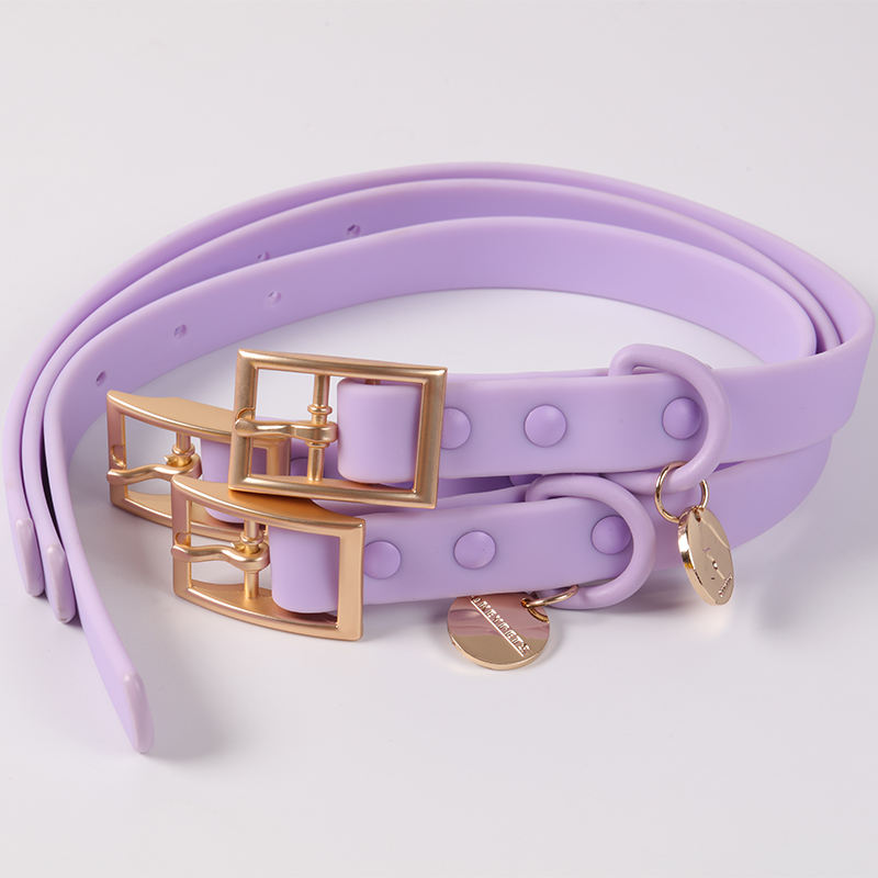 Thick Pvc Adjustable Purple Plain Fashion Collar And Leash For Medium Breed Pet Dog