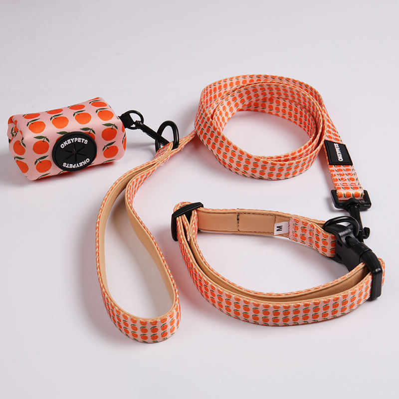 Luxury Custom Designer Pet Dog Walking Lead Leashes Personalized Dog Leash With Poop Bag Holder