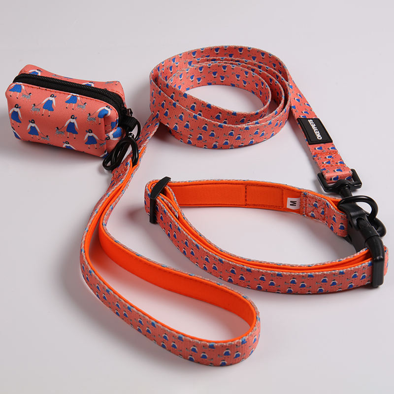 Luxury Custom Designer Pet Dog Walking Lead Leashes Personalized Dog Leash With Poop Bag Holder