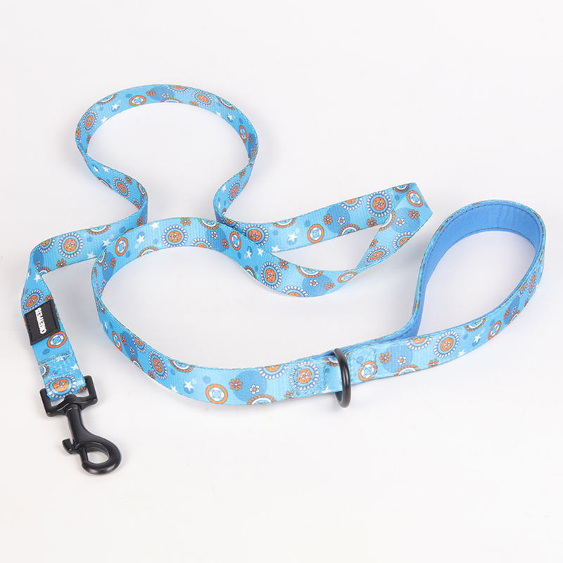 New Pattern Fashion Attractive Luxury Soft Comfortable Private Label Padded Designer Dog Leashes