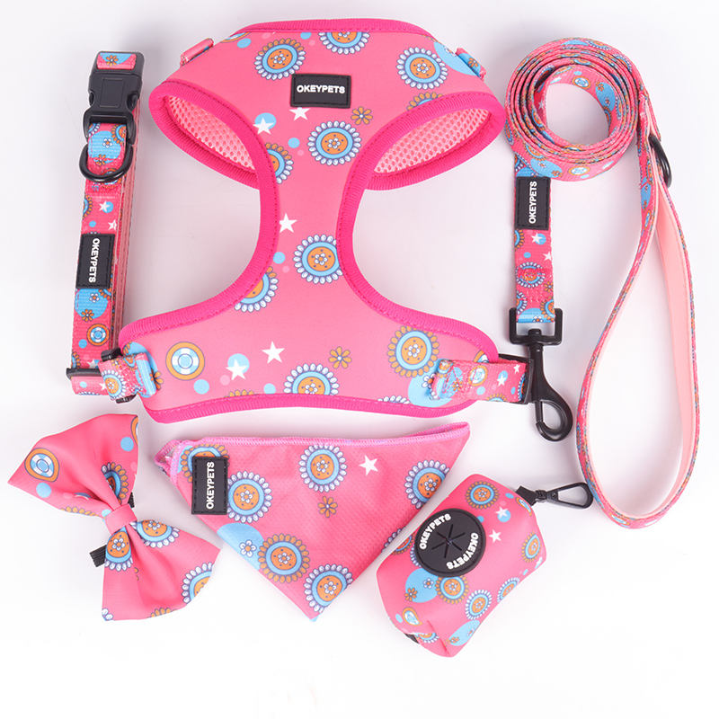 New Pattern Fashion Attractive Luxury Soft Comfortable Private Label Padded Designer Dog Leashes