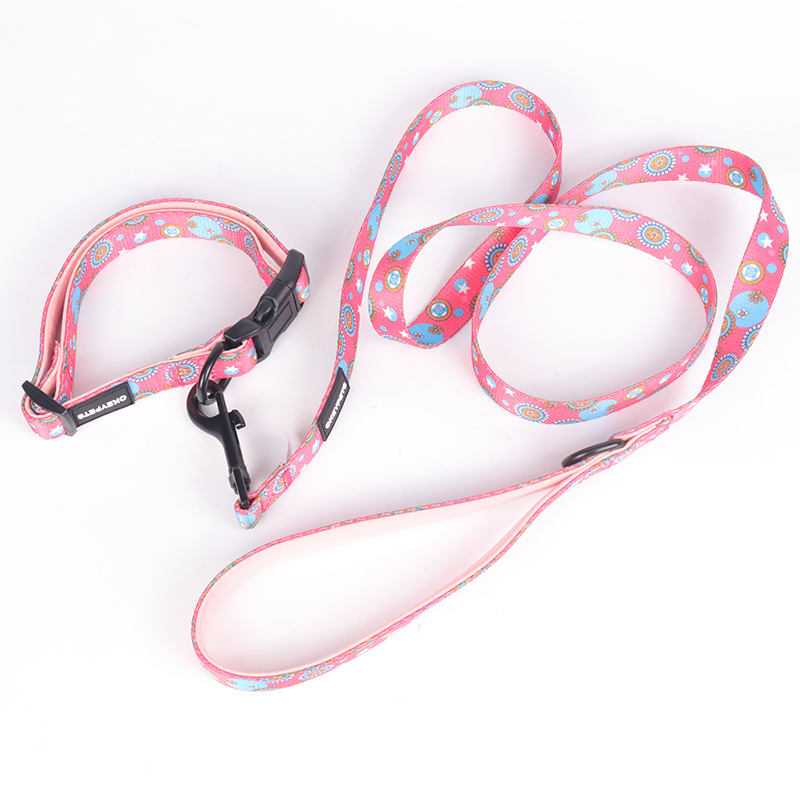 New Pattern Fashion Attractive Luxury Soft Comfortable Private Label Padded Designer Dog Leashes