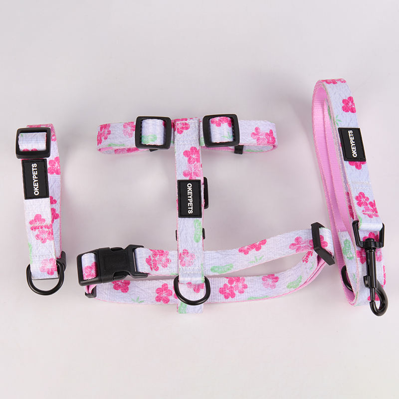 New Pattern Fashion Attractive Luxury Soft Comfortable Private Label Padded Designer Dog Leashes