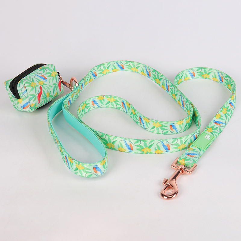 New Pattern Fashion Attractive Luxury Soft Comfortable Private Label Padded Designer Dog Leashes