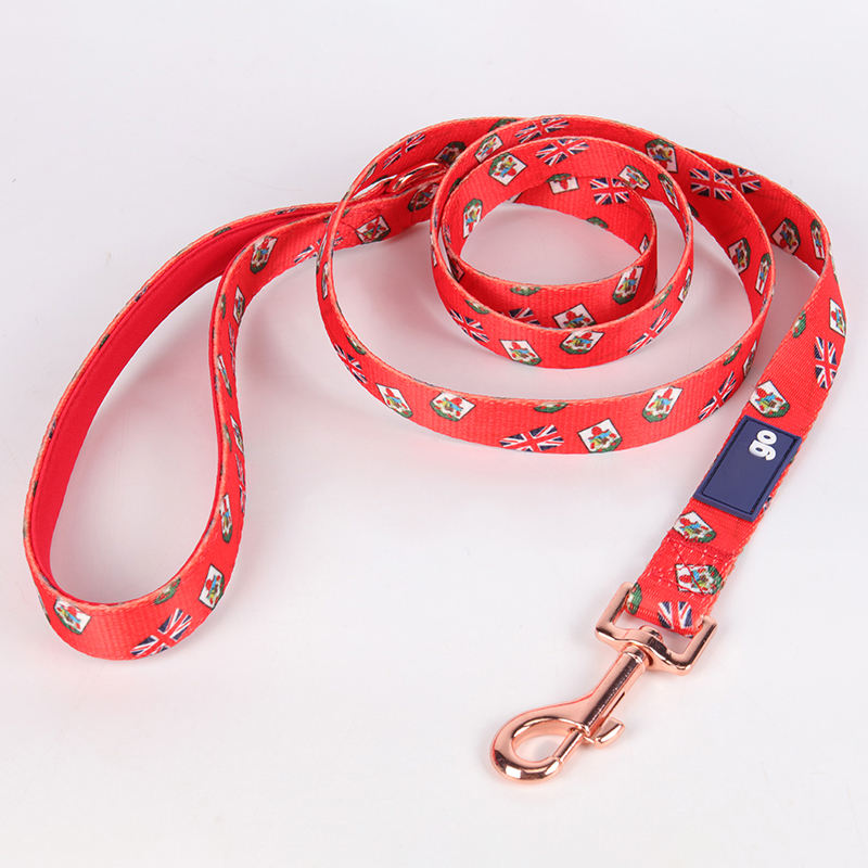 New Pattern Fashion Attractive Luxury Soft Comfortable Private Label Padded Designer Dog Leashes