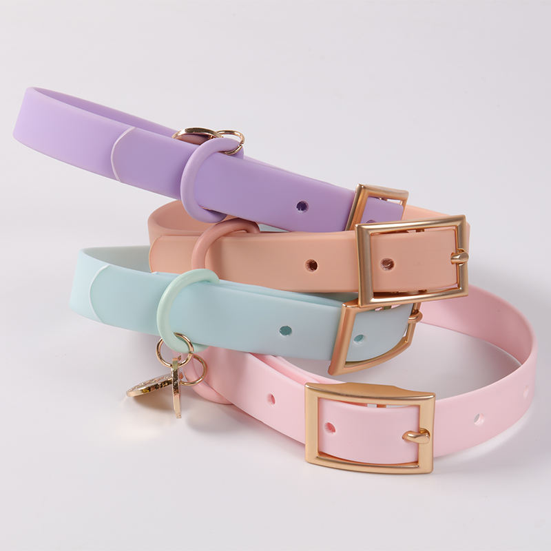 Water Proof Dog Collar Cute Pet Long Leash Leads And Collars Personalized Adjustable