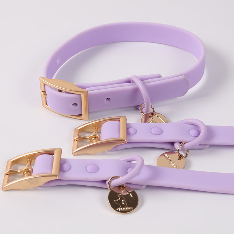 Wholesale Adjustable Strong Durable Solid Color Purple Pet Dog Lead Long Strap Pvc And Neck Collar Set