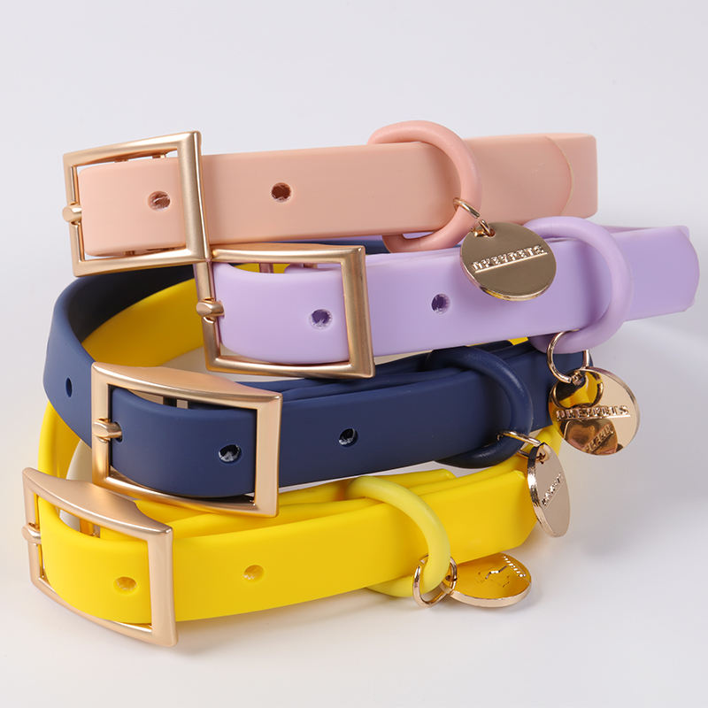 Colorful D-ring Metal Accessories Pvc Webbing Dog Collar And Lead Set With Custom Color