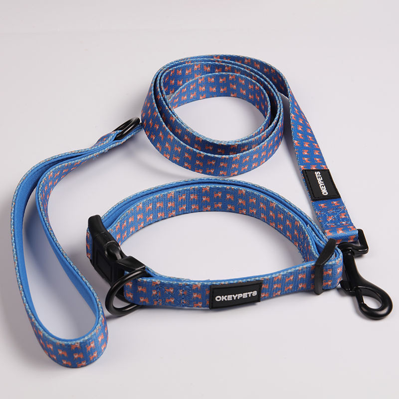 Hot Selling Dog Collar Leash Designer Wholesale Durable Sublimation Luxury Dog Lead And Collar