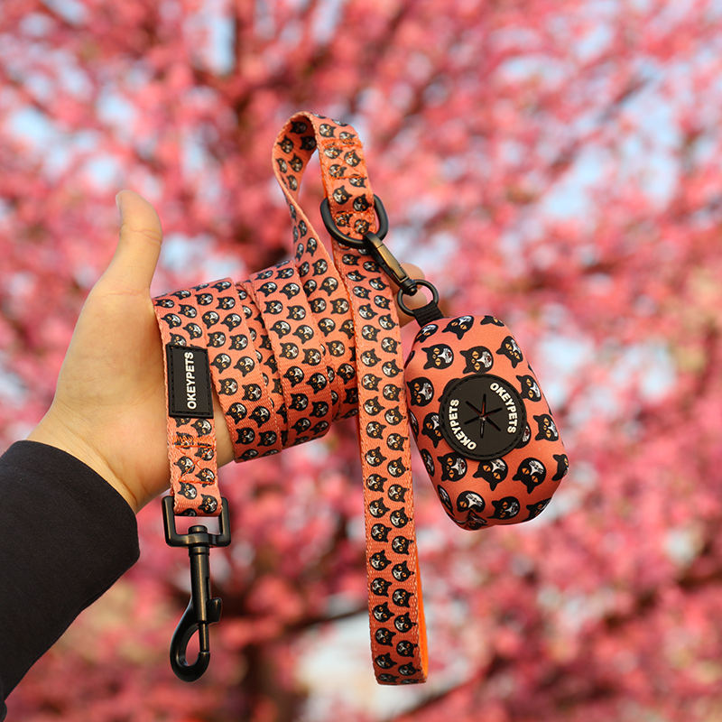 Personalized Outdoor Pet Supply Custom Pattern Absorbing Soft Padded Neoprene Dog Walking Leash