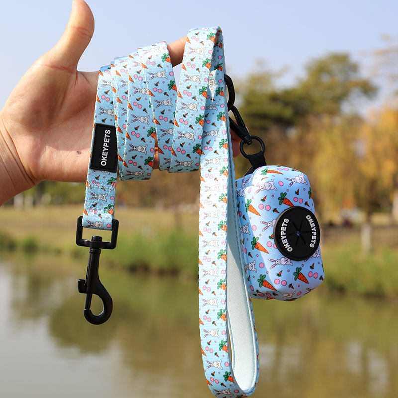 Custom Logo Padded Dog Pet Lead Long Polyester Heated Dog Leash With Poop Bag Holder