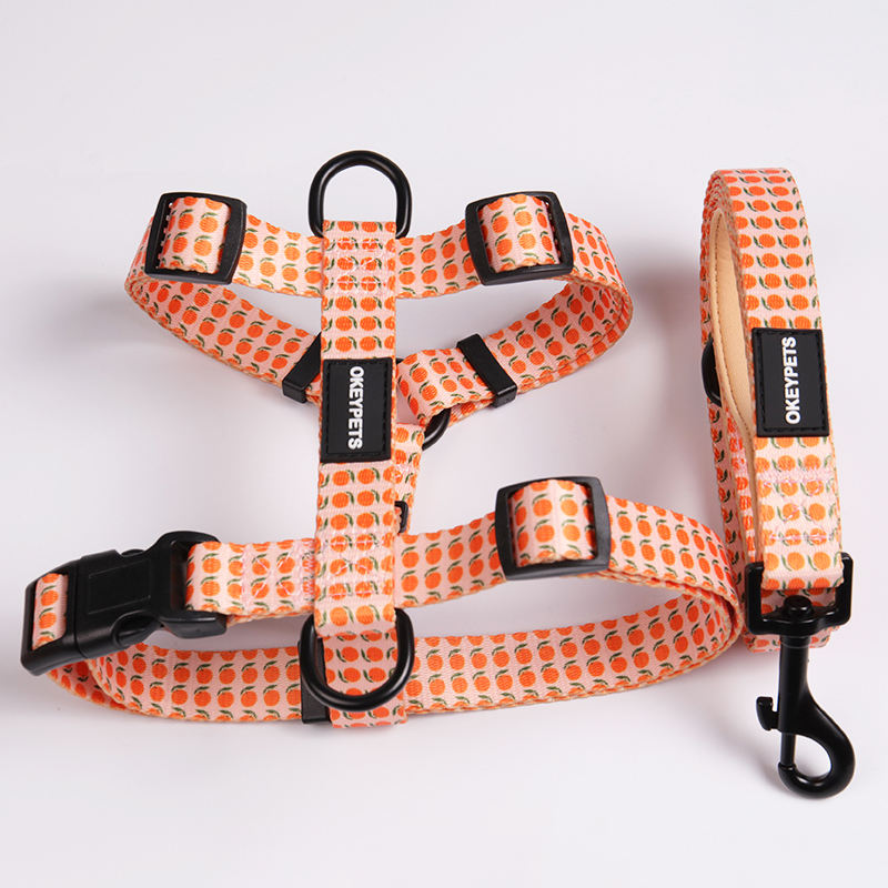 Hot Selling Wholesale Multi-color Practical Reflective Nylon Material Luxury Pet Dog Leash