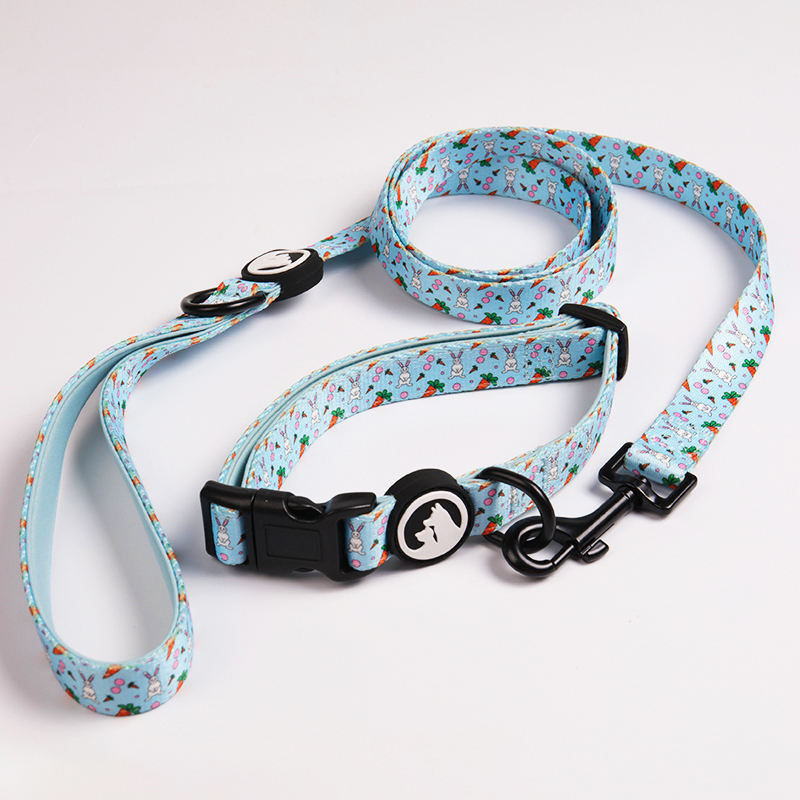 Oem Dog Collar And Leash Set Fashion Luxury Pet Dog Collars Leashes Custom Designer Buckle Dog Collar In Bulk