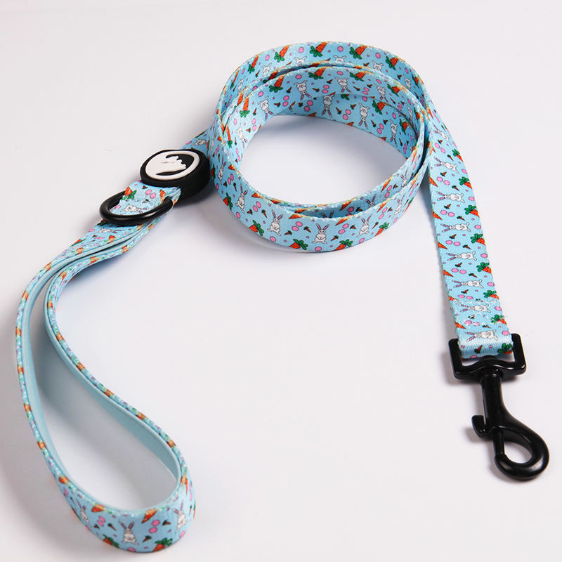 Oem Dog Collar And Leash Set Fashion Luxury Pet Dog Collars Leashes Custom Designer Buckle Dog Collar In Bulk