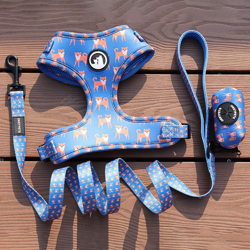 Personalized Custom Pattern Absorbing Soft Padded Adjustable Neoprnene Dog Walking Leash