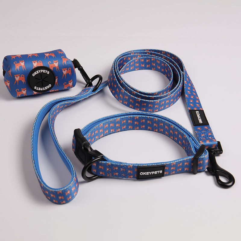 No Pull Heavy Duty Pet Lead Polyester Webbing Eco Friendly Long Fashion Dog Leash