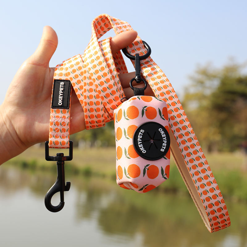 Sublimation Adjustable Neoprene Dog Accessories Leash Comfortable Designers Dog Lead & Poop Bag Dispenser